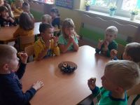 Dzień śliwki w gr. zajączki 23.09.19 (3)