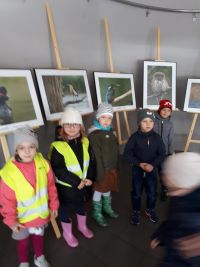 Wystawa fotograficza pt. „Ptaki ziemi Chełmońskiego”